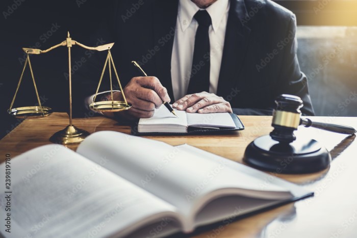 Famous Criminal Defense Attorneys